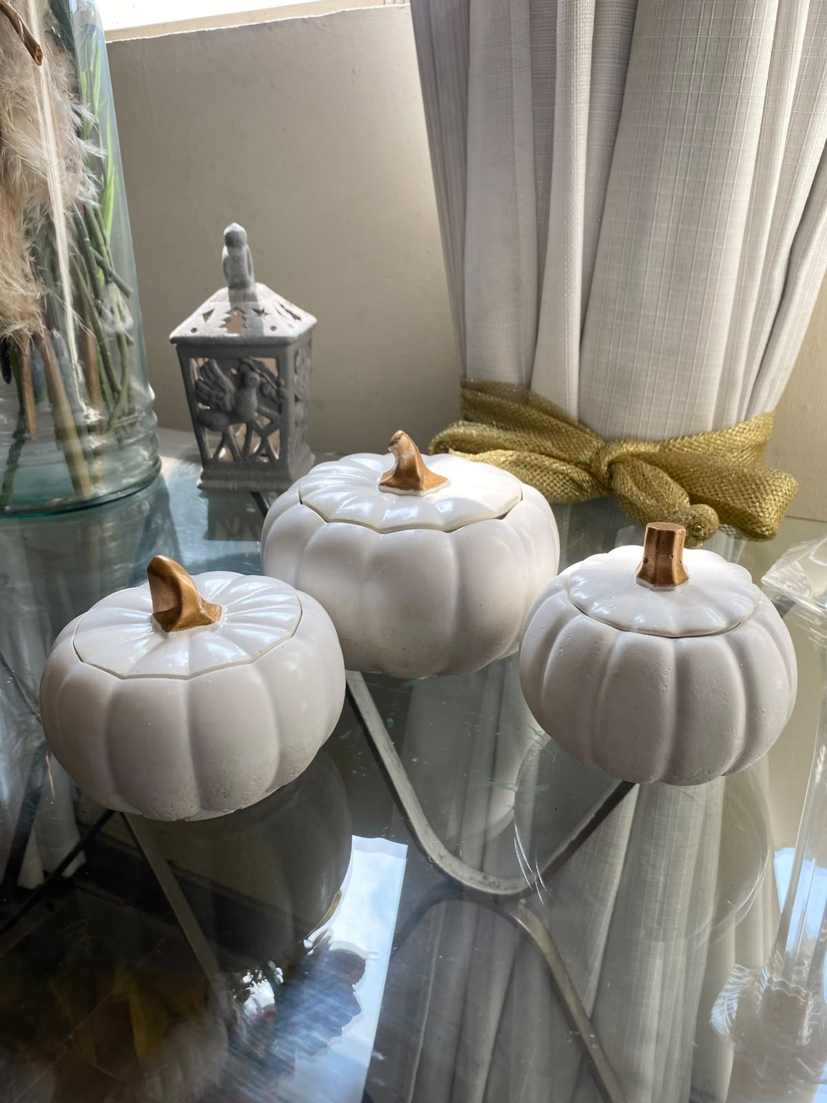 Calabazas 🍂