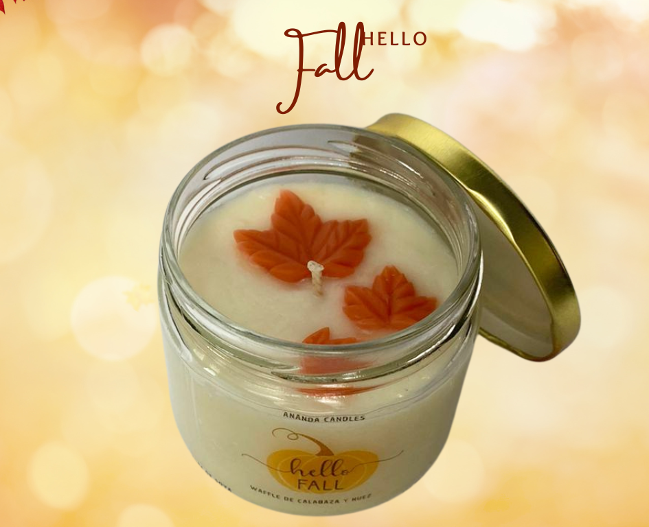 HELLO FALL SOYA
